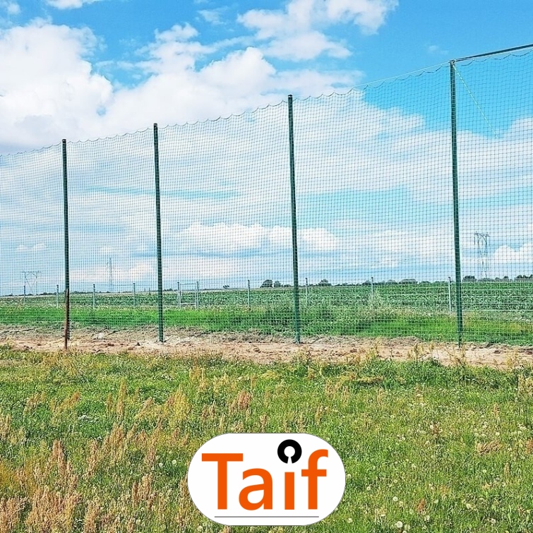 Piłkochwyt 5m wysokości   Siatka oczko 10x10cm   Grubość siatki 5mm