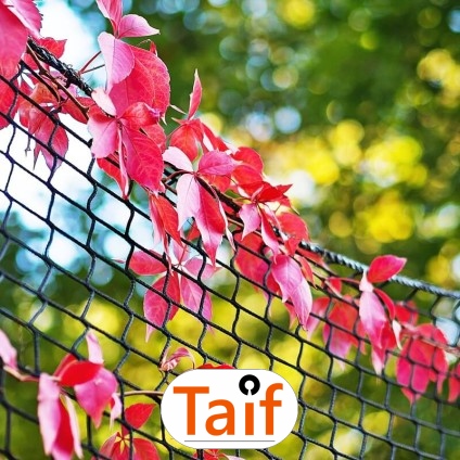   Taif - Siatka zabezpieczająca autostrady i drogi z polipropylenu, szaro-czarna, o oczku 1x1 cm, do zabezpieczeń przed uszkodzeniami. 