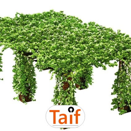   Taif - Siatka ochronna na autostrady i drogi z polipropylenu o grubości 6 mm i oczku 8x8 cm, do ochrony w sezonie. 