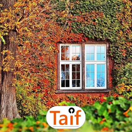   Taif - Trwała siatka drogowa z polipropylenu o oczku 4,5 cm, wybierana do optymalnego wykonawstwa dróg i autostrad. 