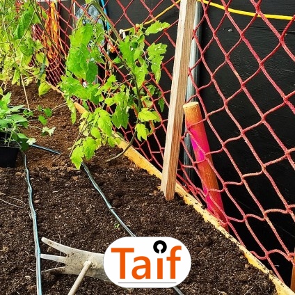   Taif - Siatka drogowa i autostradowa z polipropylenu do sezonowej ochrony zielonych terenów przy dużych oczkach. 