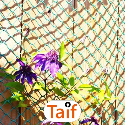   Taif - Siatka drogowa i autostradowa z polipropylenu do sezonowej ochrony zielonych terenów przy dużych oczkach. 