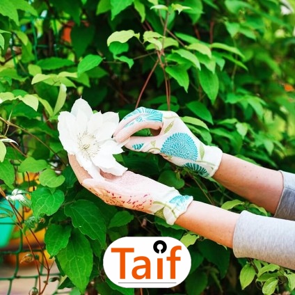   Taif - Siatka drogowa i autostradowa z polipropylenu do sezonowej ochrony zielonych terenów przy dużych oczkach. 