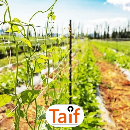   Taif - Siatka drogowa i autostradowa z polipropylenu do sezonowej ochrony zielonych terenów przy dużych oczkach. 