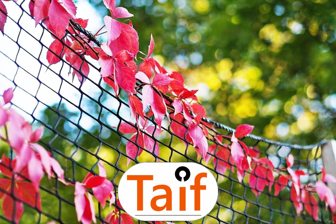   Taif - Siatka zabezpieczająca autostrady i drogi z polipropylenu, szaro-czarna, o oczku 1x1 cm, do zabezpieczeń przed uszkodzeniami. 