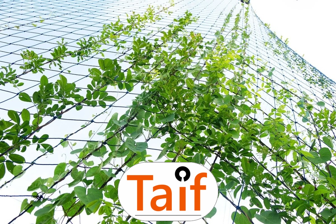  Taif - Siatka na autostradę i drogę 