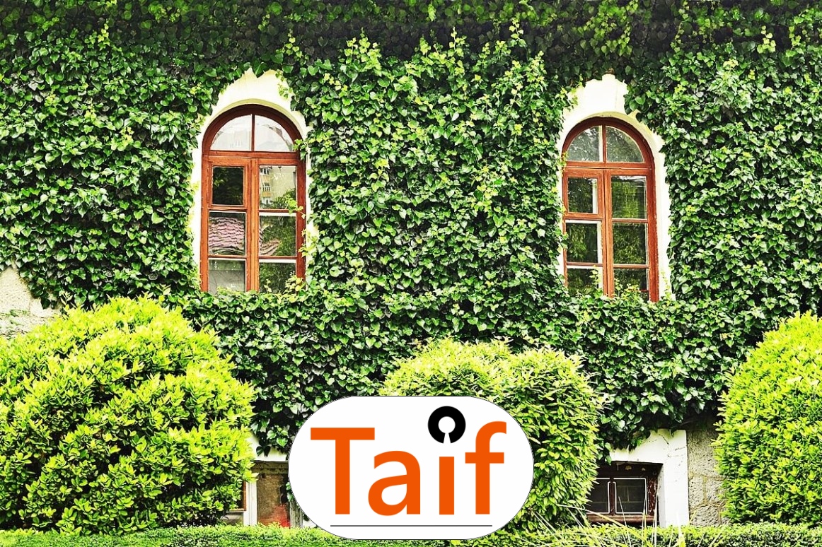  Taif - Siatka na autostradę i drogę 