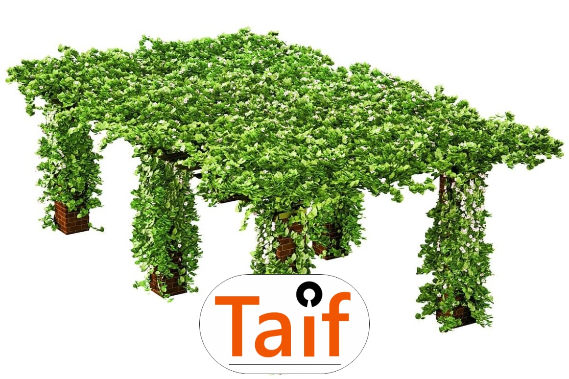   Taif - Siatka ochronna na autostrady i drogi z polipropylenu o grubości 6 mm i oczku 8x8 cm, do ochrony w sezonie. 