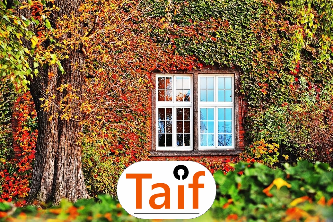   Taif - Trwała siatka drogowa z polipropylenu o oczku 4,5 cm, wybierana do optymalnego wykonawstwa dróg i autostrad. 