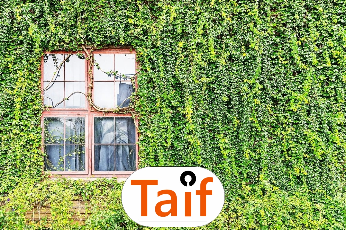   Taif - Sezonowa siatka ochronna na autostrady i drogi z polipropylenu o oczku 1x1 cm. 