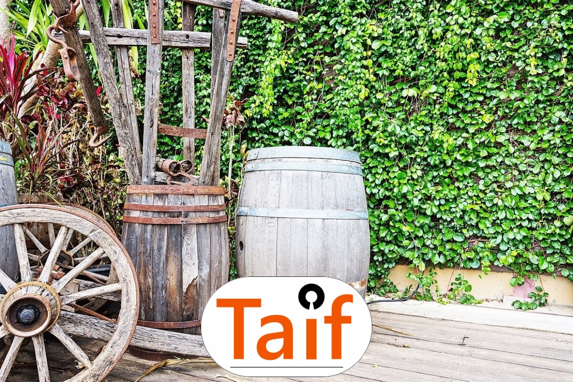   Taif - Trwała siatka drogowa z polipropylenu o oczku 4,5 cm, wybierana do optymalnego wykonawstwa dróg i autostrad. 