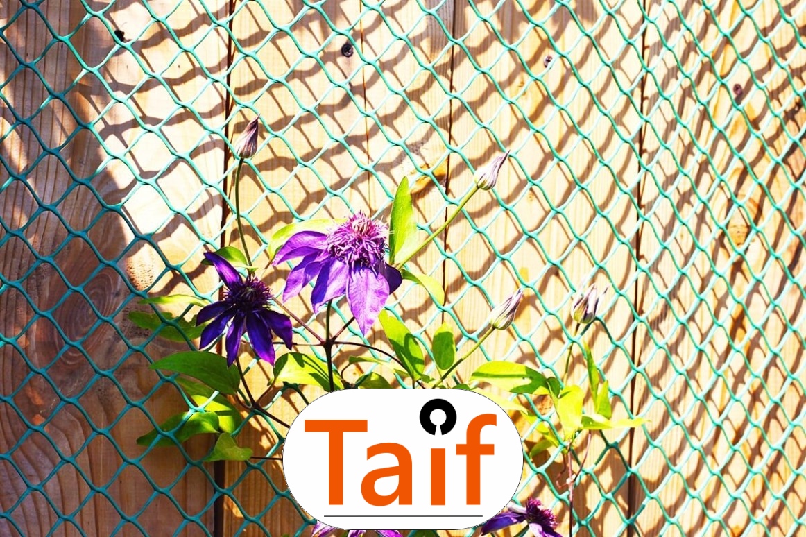   Taif - Siatka drogowa i autostradowa z polipropylenu do sezonowej ochrony zielonych terenów przy dużych oczkach. 